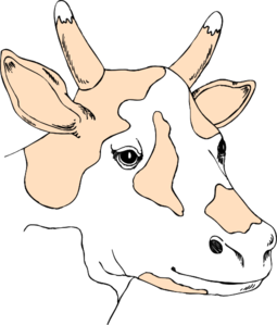 Light Colored Cow Head Clip Art